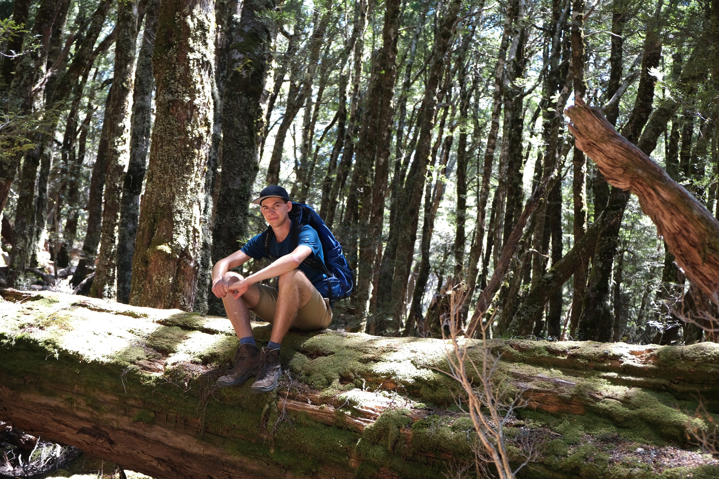 Georg sitting on a fallen tree during a hike in the forest